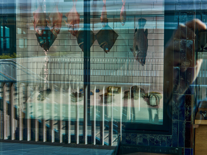 09-Pc09-2026-01-16 13.30.17